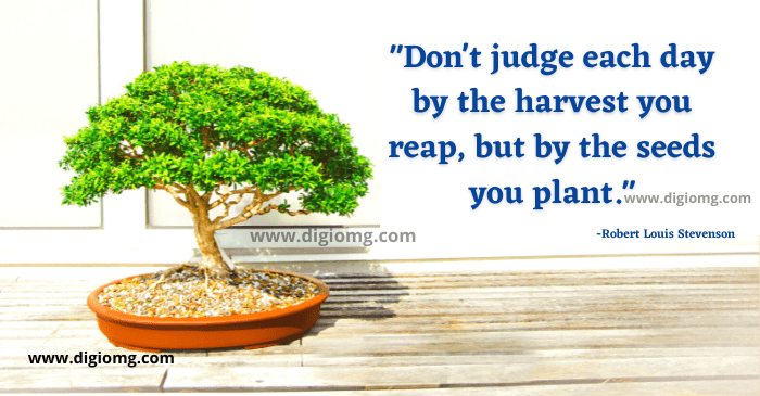 don't judge each day