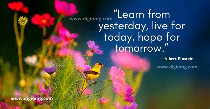 learn from yesterday, live